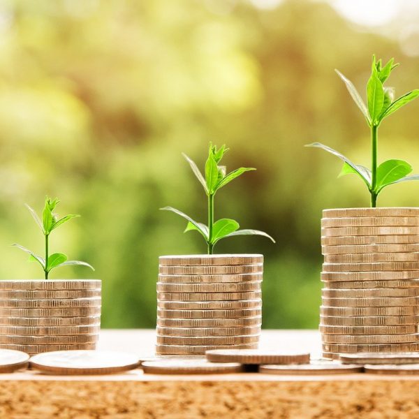Formazione finanziata